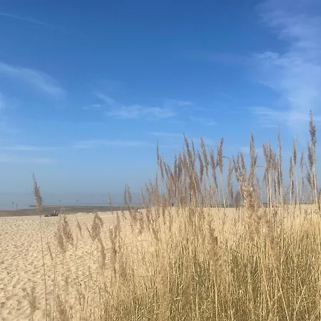 Nordseebrandung A2 1 Apartment