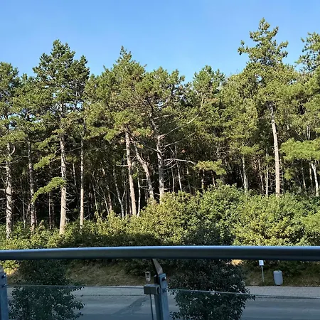 Nordseebrandung A2 1 Apartment *